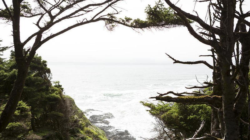A view of Devils Churn through the trees of Oregon’s Siuslaw National Forest, trees that are maybe a few bad generations or election cycles away from being flushed down the toilet.